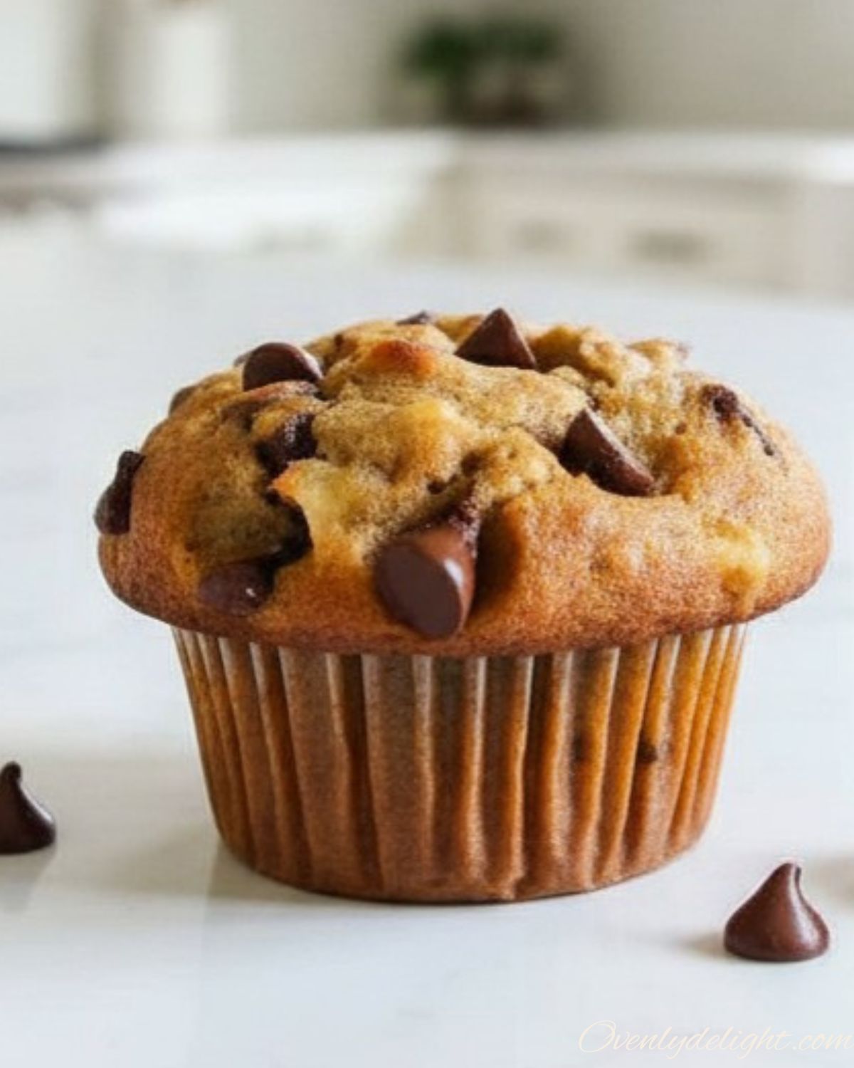 Homemade banana muffins with chocolate chips, golden and fluffy texture